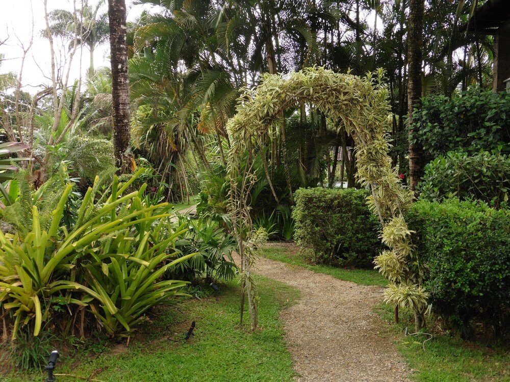 Bambu Bamboo Inn - Général