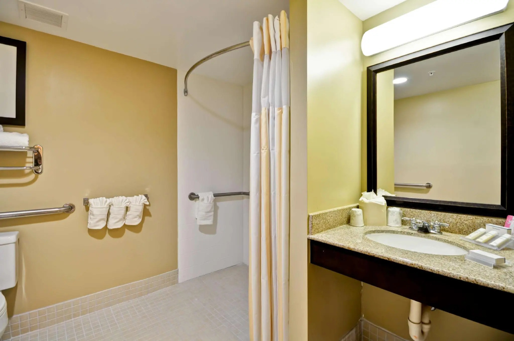 Hilton Garden Inn Tampa North Busch Gardens - Chambres