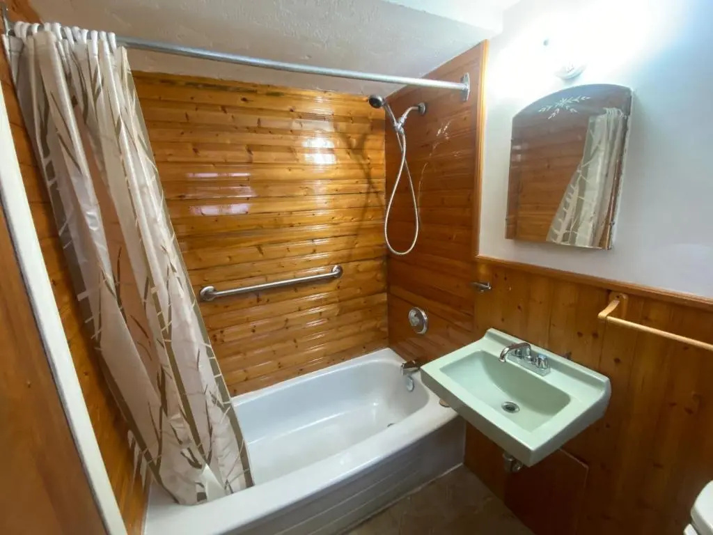 Deluxe Double room (full double bed)