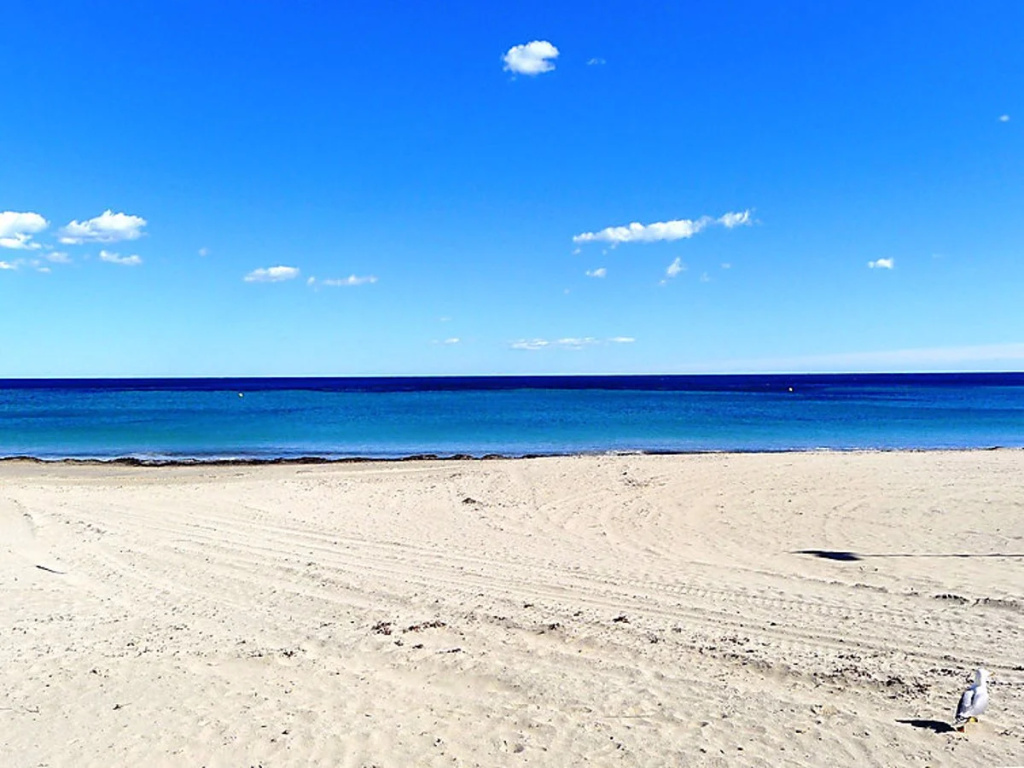 Beach & Waterfront
