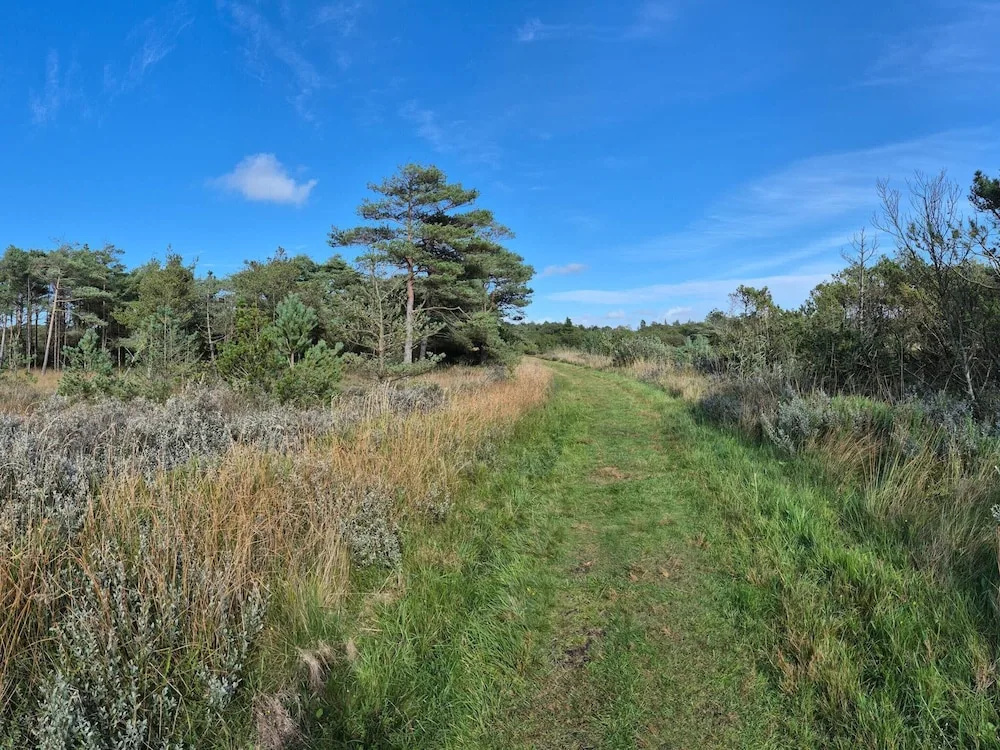 Entising Holiday Home in Jutland near Sea