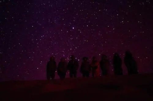 Sahara Camels Camp