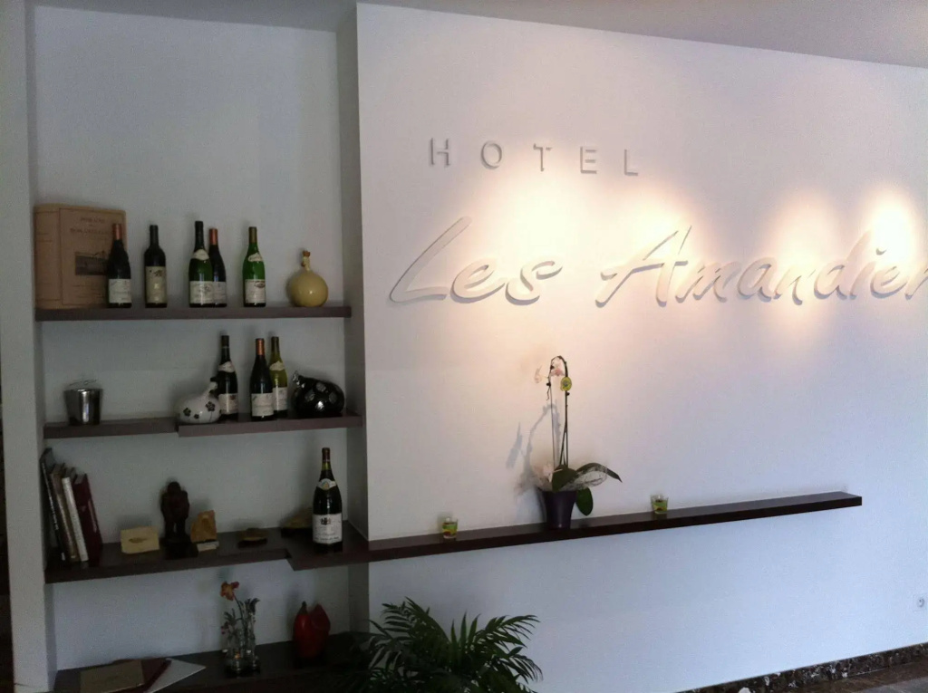 Hôtel Les Amandiers - Général