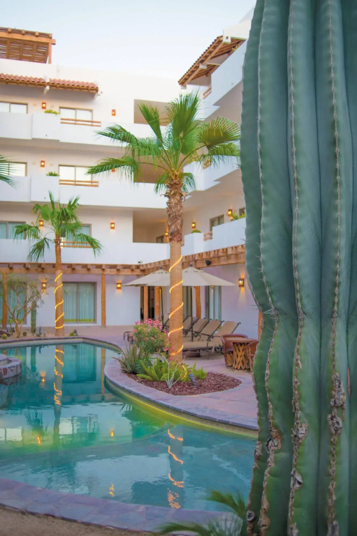 Hotel photo 10