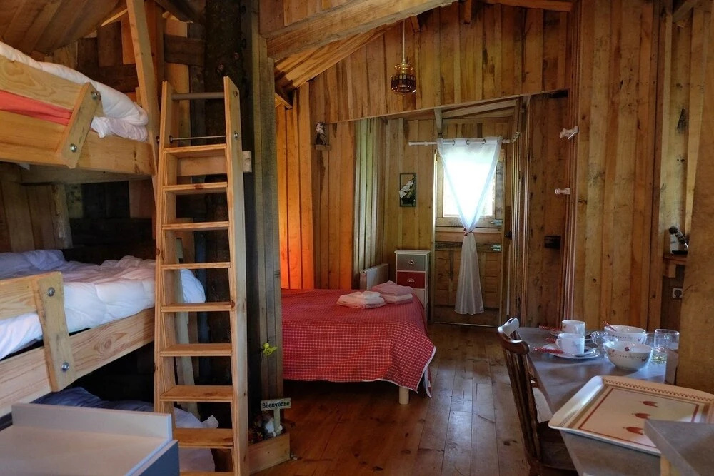Voir la photo 4 — Cabane dans les Arbres - Tree House
