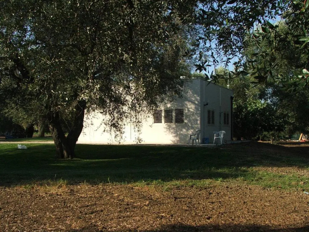BB Finestre Tra Gli Ulivi - Chambres