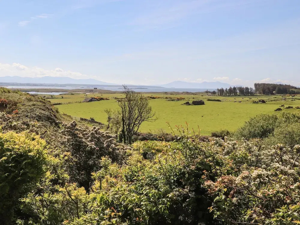 Ty Mynydd