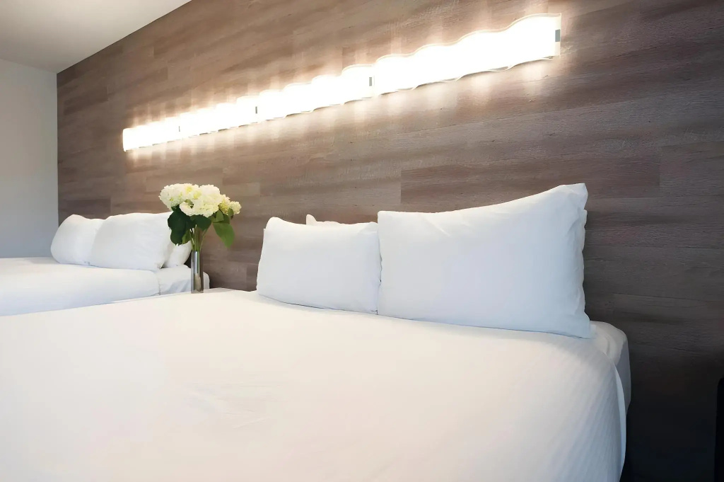 Elk + Avenue Hotel - Général