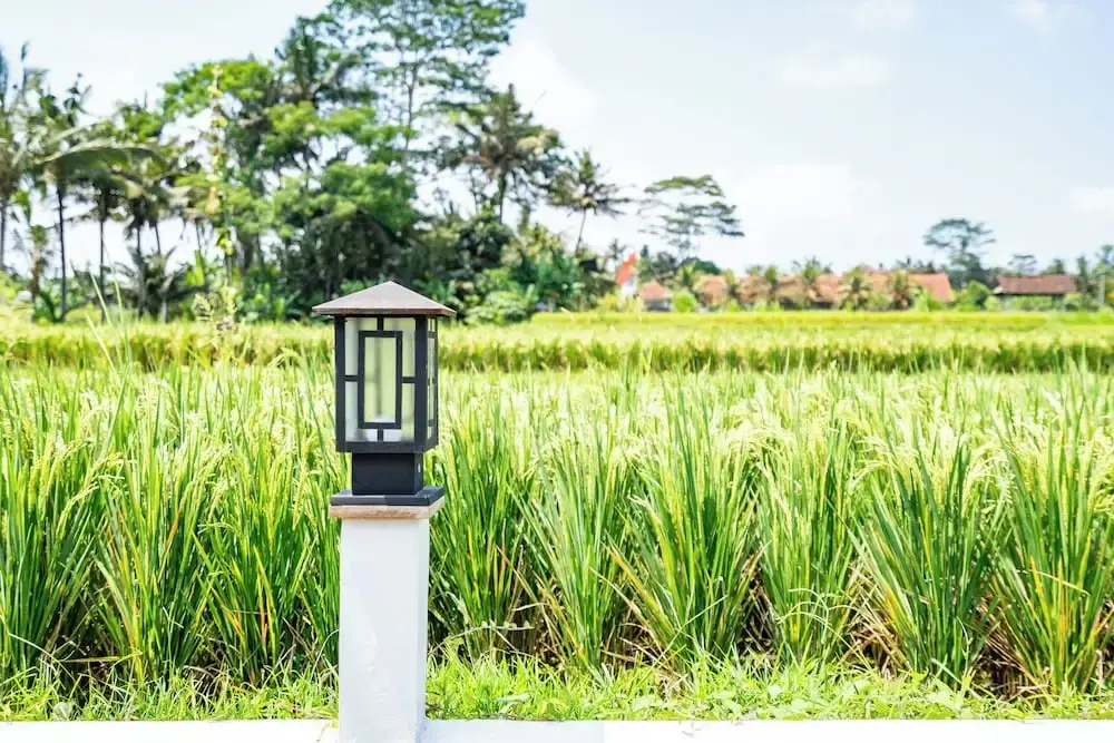 Aura Apartments Ubud