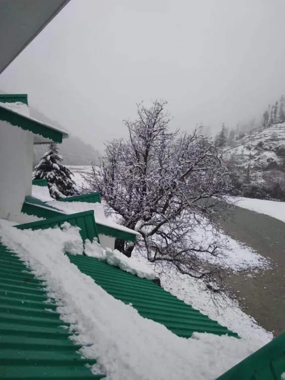 Prakriti-The Retreat - Général