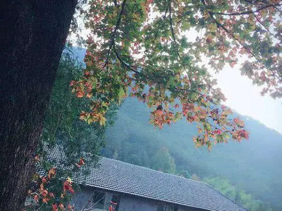 Yannanqi Inn in Yongjia
