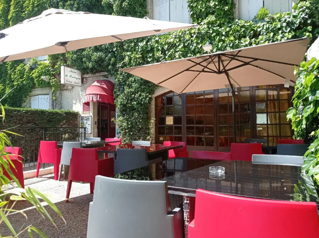 Hôtel Anne De Bretagne Blois - Général