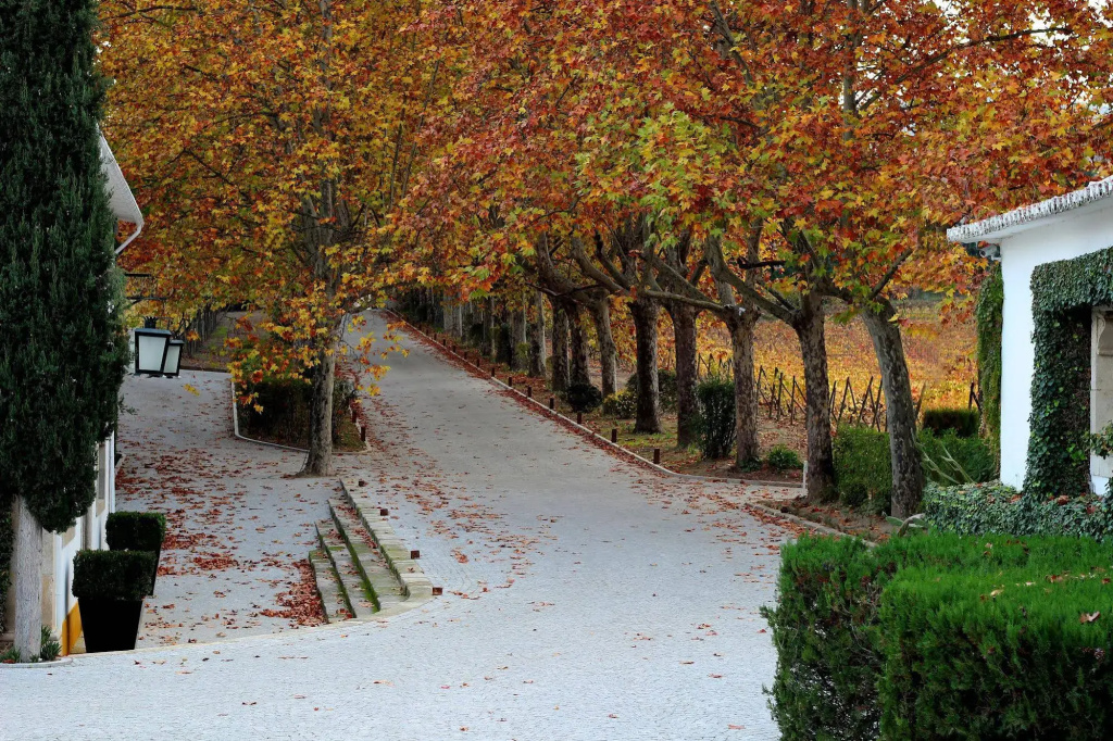 The Wine House Hotel - Quinta da Pacheca - Général