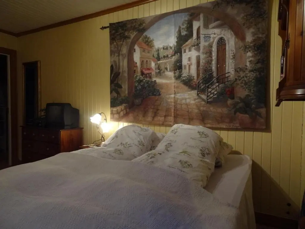 Standard Double room (full double bed)