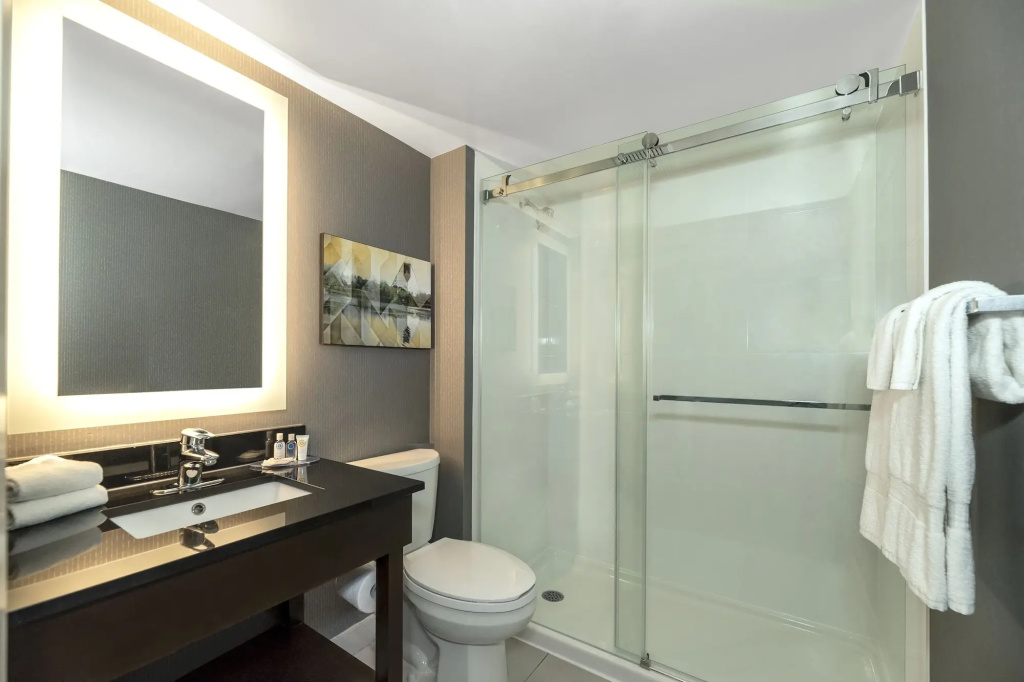 Comfort Inn Boucherville - Général