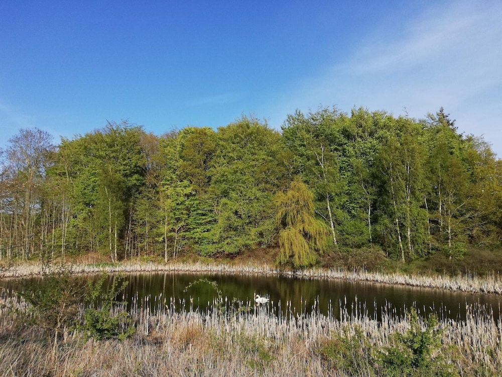 Seaside Serenity at Fuglsovig-by Traum