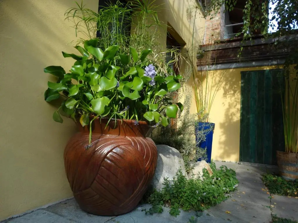 Agriturismo Casa de Colores - Chambres
