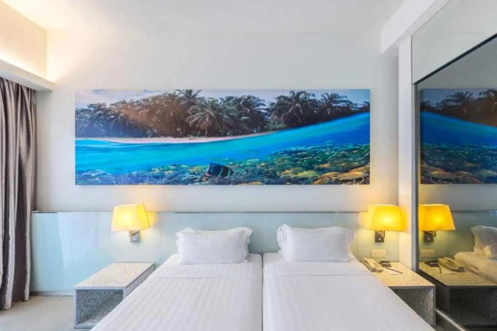 Superior Double room (twin beds)