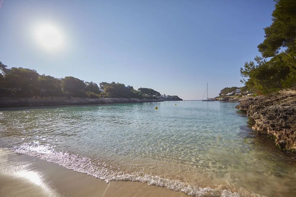 Beach & Waterfront