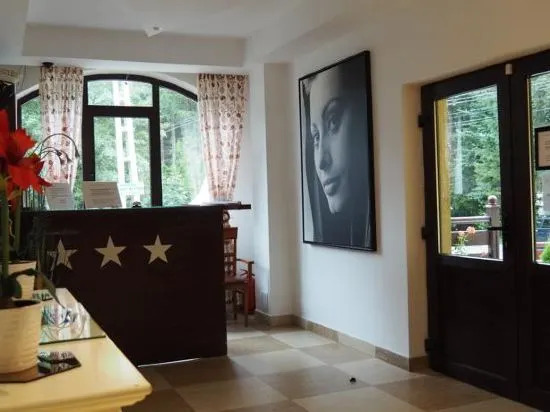 Pensiunea Clasic - фото 6