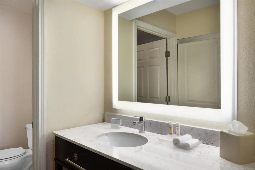 Homewood Suites by Hilton St. Petersburg Clearwater - Chambres