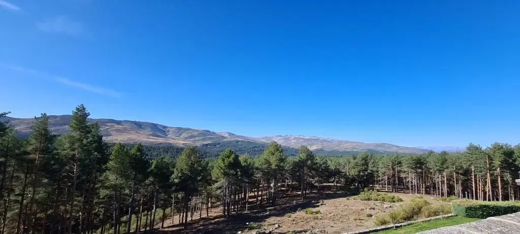 Parador De Gredos - Chambres