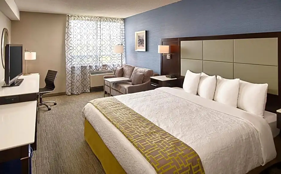 Superior room with view