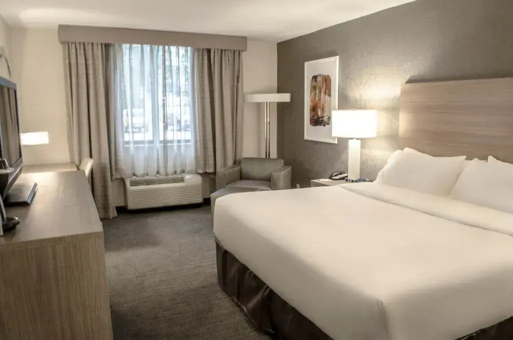 Holiday Inn Fargo by IHG - Chambres