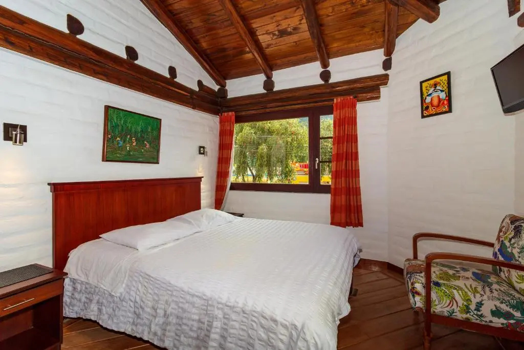 Standard Double room with mountain view (full double bed)