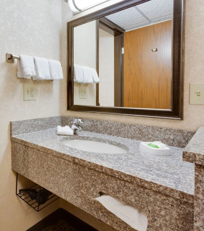 Wingate by Wyndham St. Louis/Fenton Route 66 - Chambres