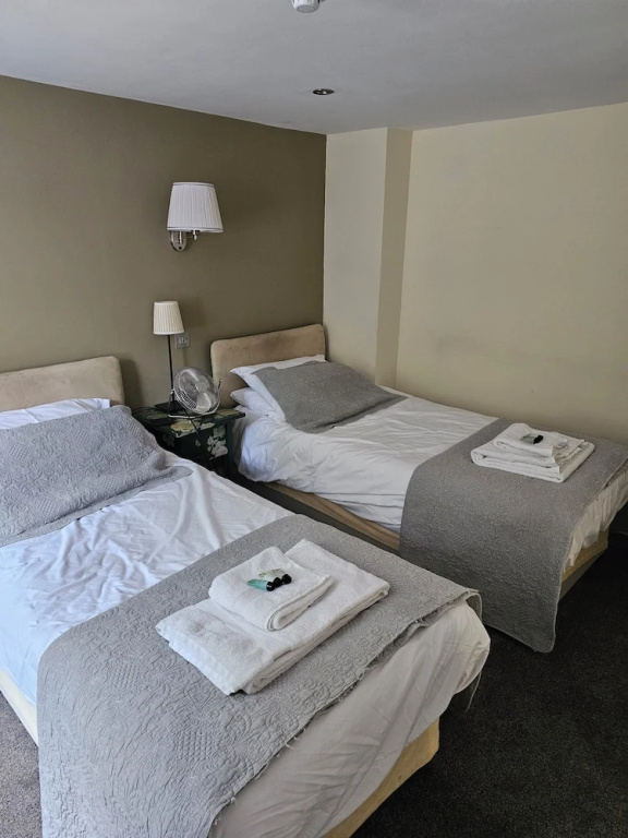 Deluxe Double room (twin beds)