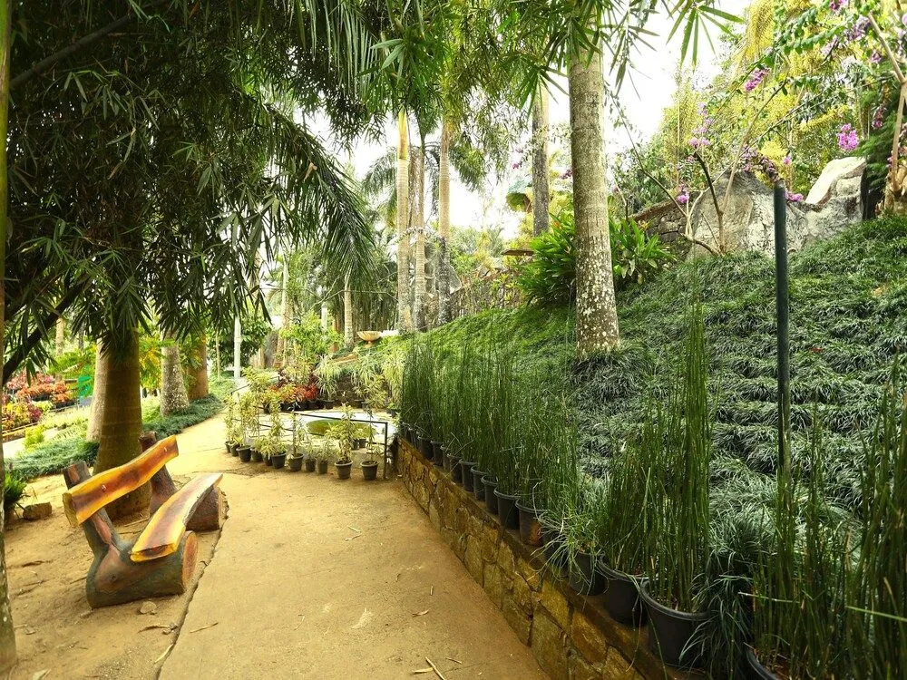 OYO 11516 Wayanad Royal Stream