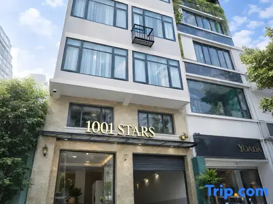 1001 Stars