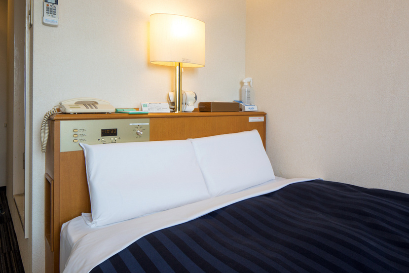 Kyoto Plaza Hotel 사진 12