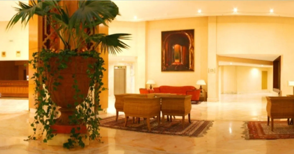 Regency Tunis Hotel - фото 46