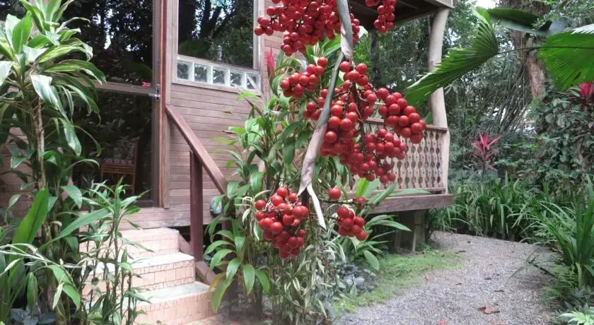Cecropia House