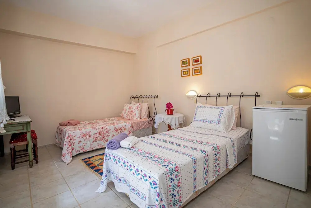 Standard Double room with garden view (twin beds)