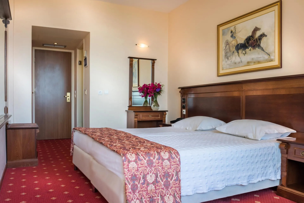 Standard Double room with mountain view (full double bed)