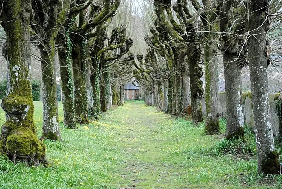Gîte du Château de la Gavolerie - Général