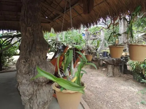 Yang Savy Homestay