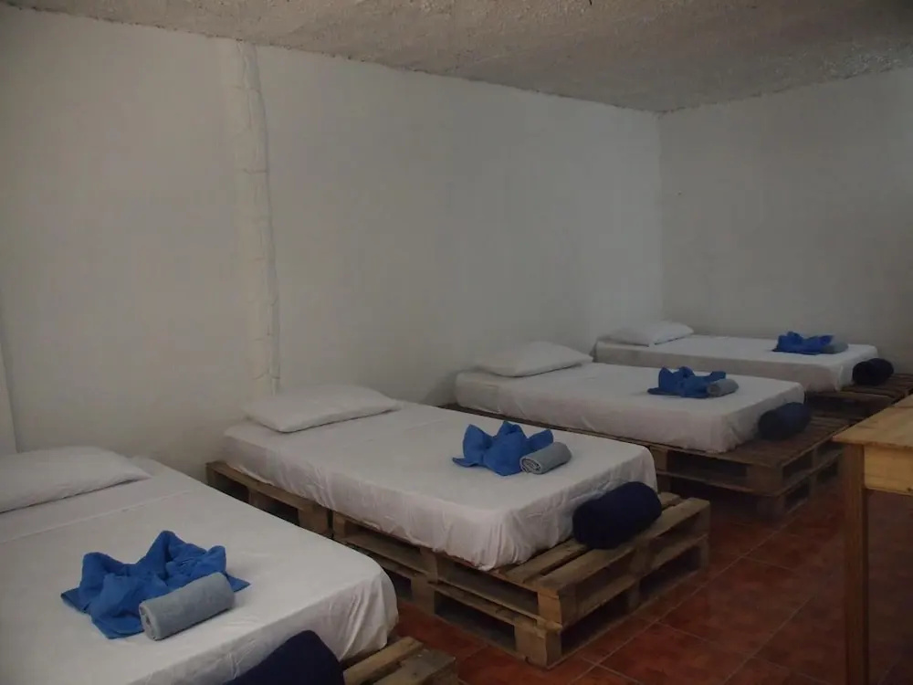 Hostal del Mar - фото 11