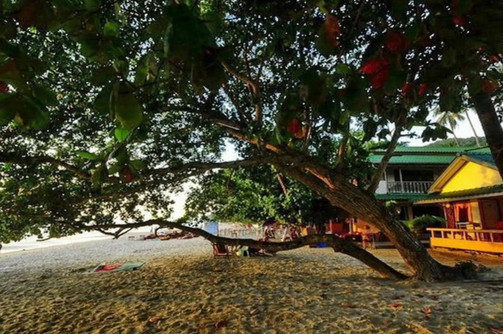 Sangtawan Resort - Général