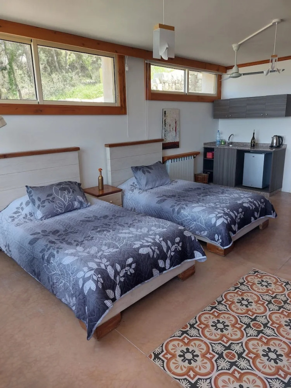 Standard Double room (twin beds)