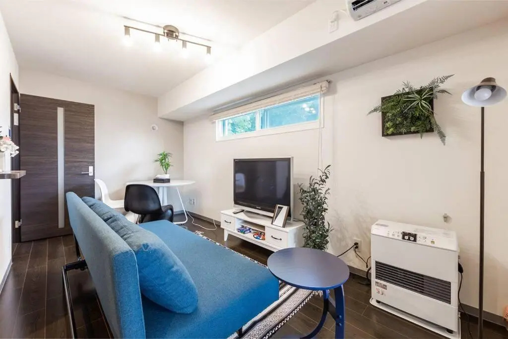 1 Bedroom Apartment