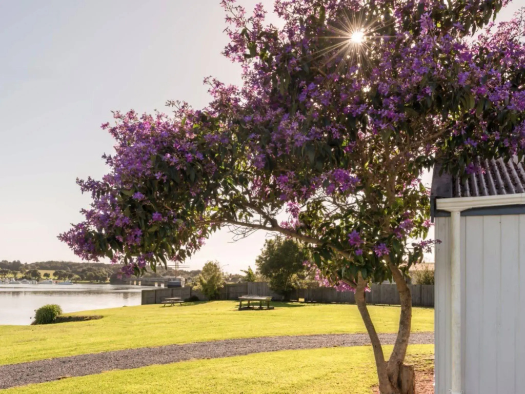 Waitangi Holiday Park