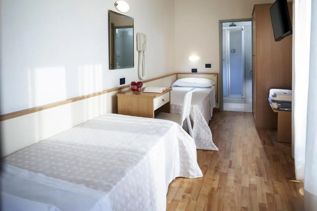 Standard Double room (twin beds)