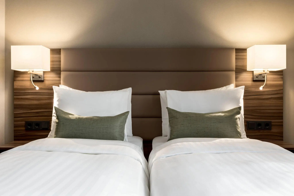 Superior Double room with city view (twin beds)