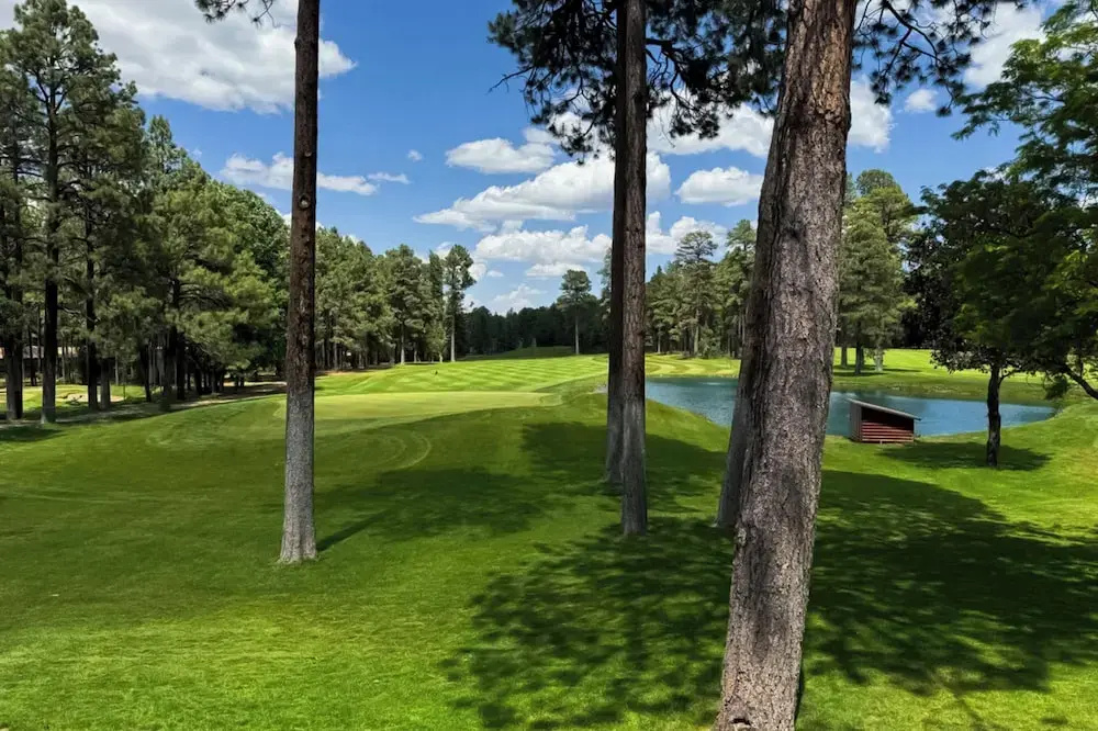 3BR House in the Pines On Golf Course