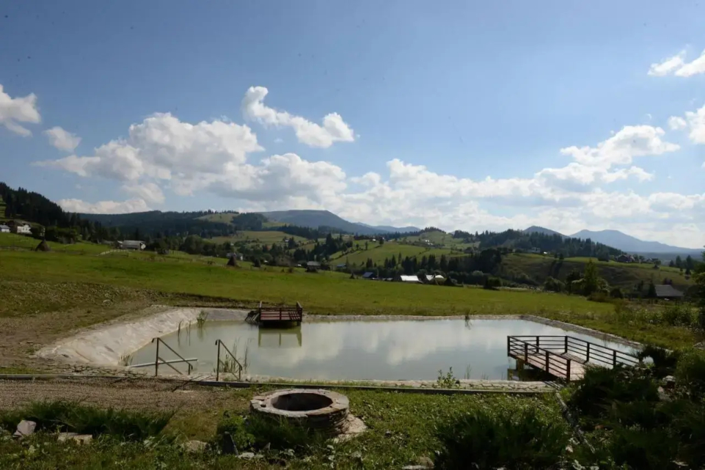 Pensiunea La Bella Vista - фото 25
