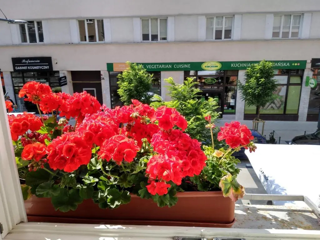 Gdynia Abrahama 23